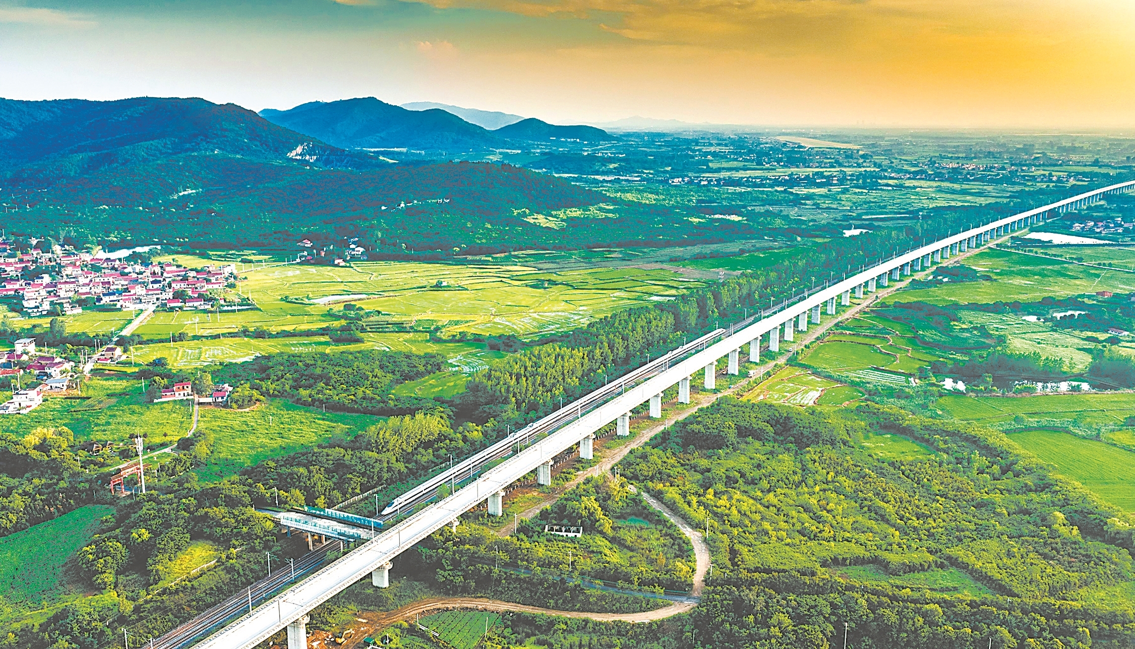 绿染田园