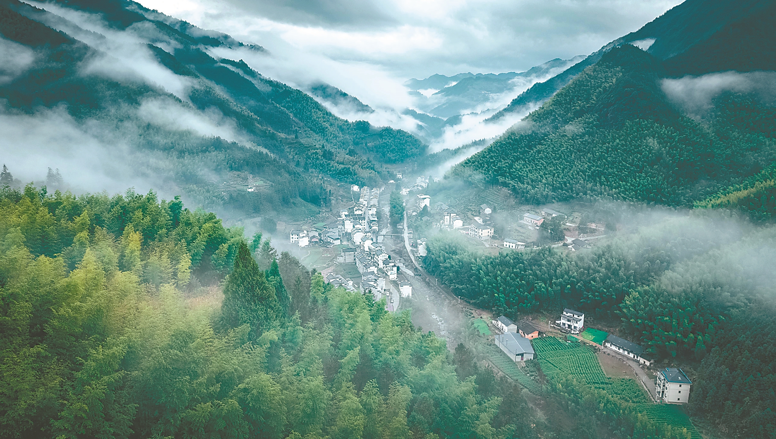 锦绣江淮 春光正好