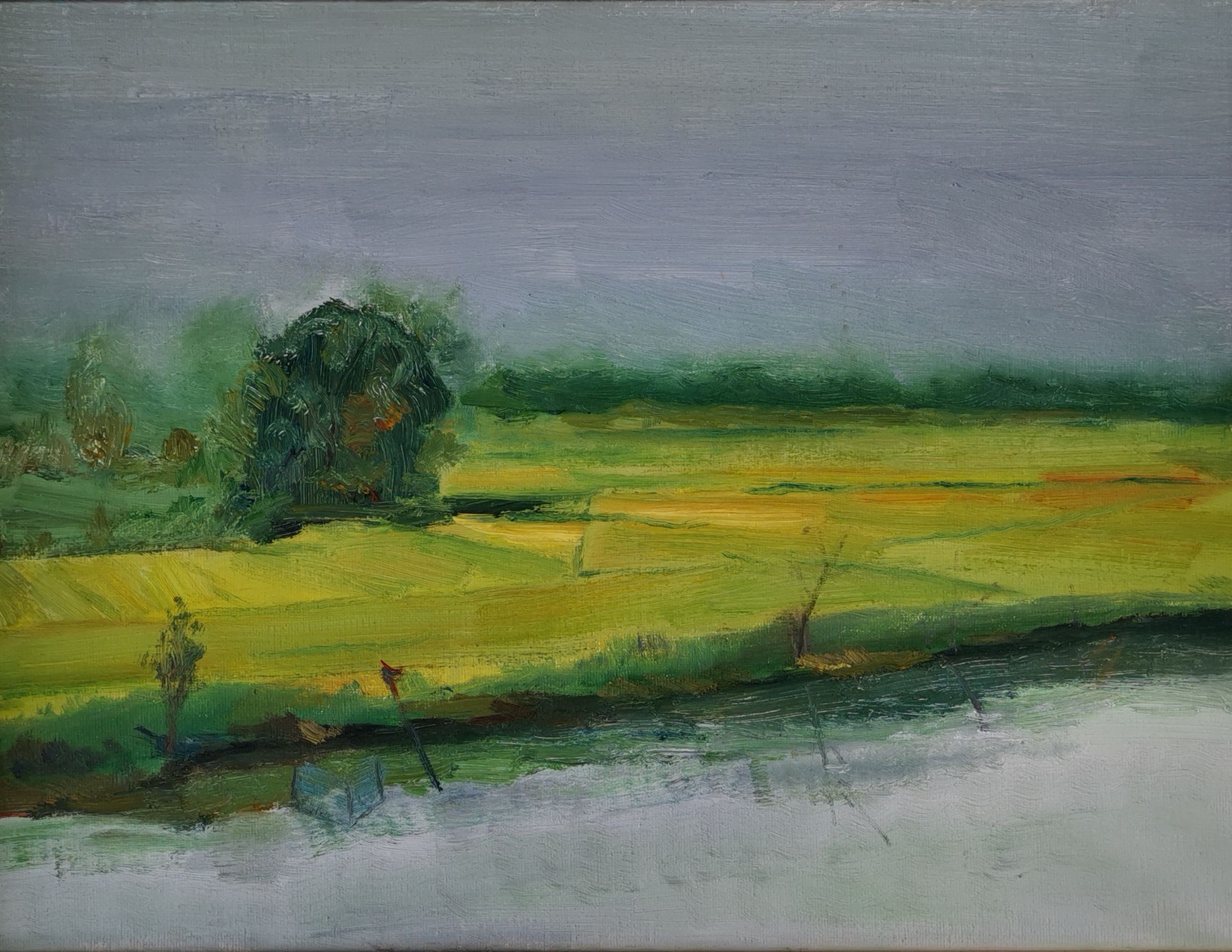 17  解启玲 油画《希望的田野》50x60.jpg